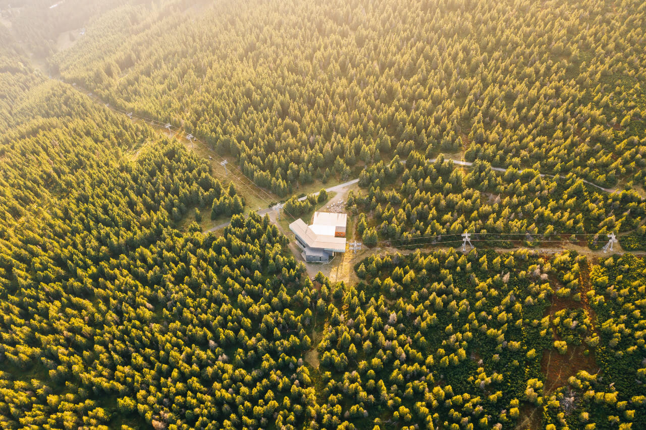 Ilmakuva tiheästä havumetsästä, jota valaisee lämmin, kultainen auringonvalo. Keskellä kuvaa on moderni, vaaleakattoinen rakennus, todennäköisesti hissiasema, jonne johtaa mutkitteleva tie. Metsän halki kulkee myös hissilinja pylväineen ja vaijereineen. Puiden latvat hehkuvat keltaisen ja vihreän sävyissä, ja taustalla näkyy sumuista laaksoa.